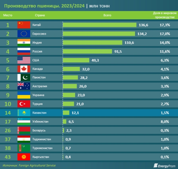 Кыргызстан занял 43-е место по объёму производства пшеницы