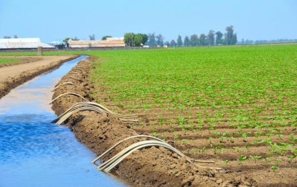 План водоподачи на орошение выполнен на 89%, - Служба водных ресурсов