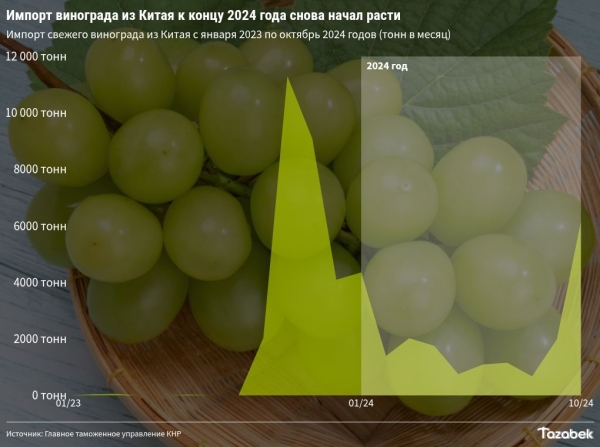 «Шайн мускат». Кыргызстан на 60% увеличил импорт винограда из Китая с начала года