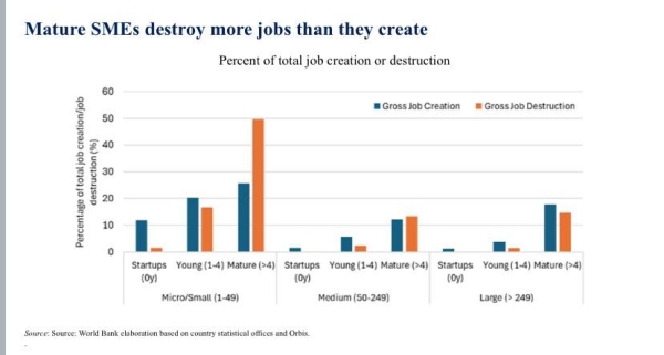 Малые компании в ЦА не растут, а зрелые предприятия сокращают рабочие места, - Всемирный банк 