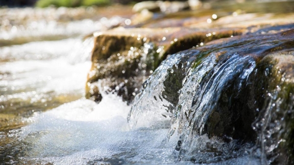 Подача воды началась по всей республике: в Службе водных ресурсов рассказали о готовности к вегетационному сезону