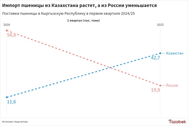 Кыргызстан в 2025 году импортирует больше пшеницы из Казахстана, чем из России