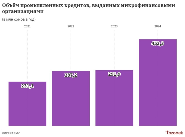 Промышленный сектор взял 453 млн сомов микрокредитов в 2024 году