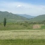 Проект расширения дороги Каракол — Энильчек к горнолыжному кластеру «Ала-Тоо Резорт» не предусматривает сноса строений, — Минтранс