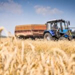 Сельское хозяйство Кыргызстана ускорило рост до 6,3% в 2024 году