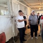Центр по развитию коневодства и конного спорта передан в ведение Минсельхоза