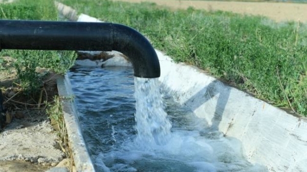 Тарифы на поливную воду повысились почти в 10 раз. Их нужно пересмотреть, — депутат