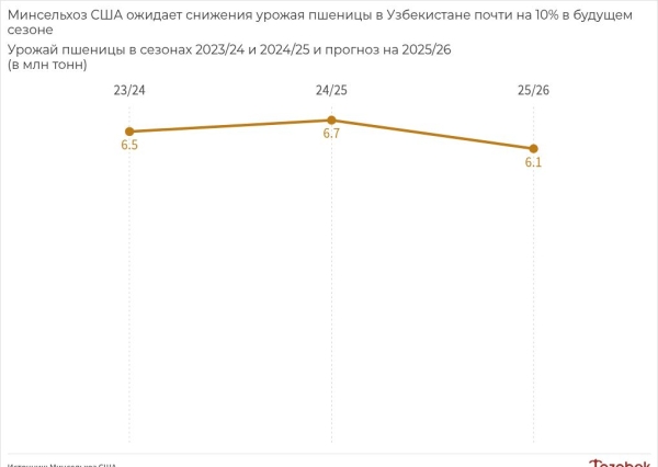 Жаркая погода в Узбекистане снижает урожайность пшеницы на 9% год к году, - Минсельхоз США