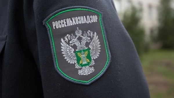 Россия увеличила экспорт продукции животноводства в Кыргызстан и другие страны