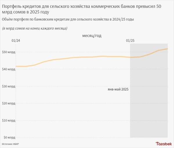 Портфель сельхозкредитов у банков достиг 52 млрд сомов к концу мая
