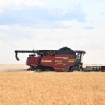 За 4 месяца Кыргызстан снизил импорт пшеницы на 20% 