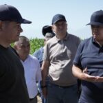 Ирригация в Чуйской области: экватор пройден, аграрии готовятся к финишу