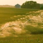 Кыргызстан у руля аграрной революции: ключ к урожаю в экономии воды
