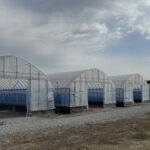 Кыргызстан снижает зависимость от импорта семян: новый агроцентр в Чуе