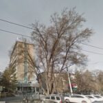 Дорогие авто таможенников возмутили парламент: их хотят пересадить в автобусы