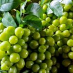 Китайский виноград завоевывает рынок Кыргызстана: импорт вырос в 2,4 раза