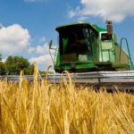 Кыргызстан: 80% зерна из-за рубежа — вызовы аграрной политики