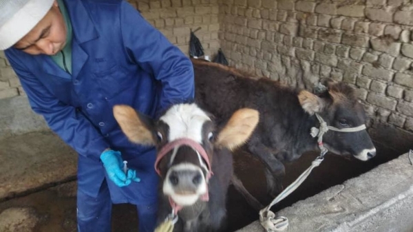 6e6fe97eedc56f9e72ddc9194b6dd021