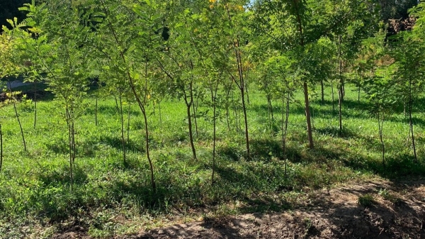 8615679f3adeffdf2a8dad8bb3d16bd3