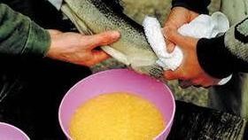 2b104febb4f2cd3b2ee4cf383236f810