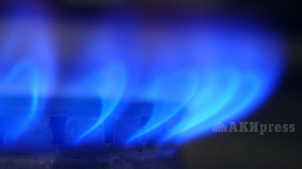 41de813eacc9a1171a6e06a15ee6538f