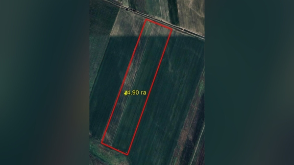 44f365aa723e32320c9ef75b9f5fe353