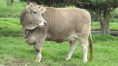 48f3656fcfd43457b29f072fb850462a