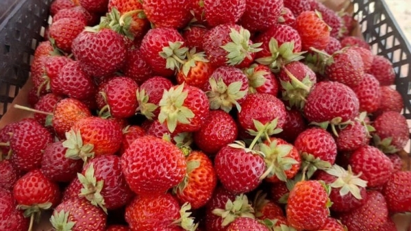 5c058119915307469d9b7e90a9cef2d4