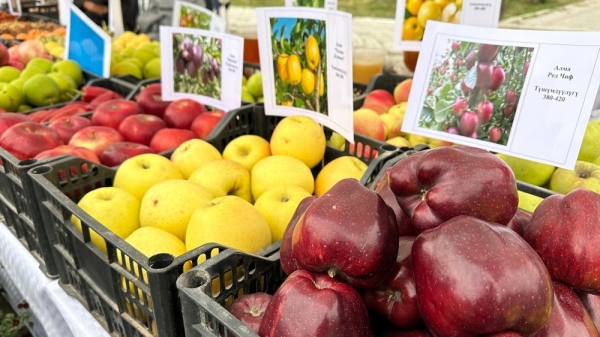 7270f8faaf6d32d4e89a7539dca246ed