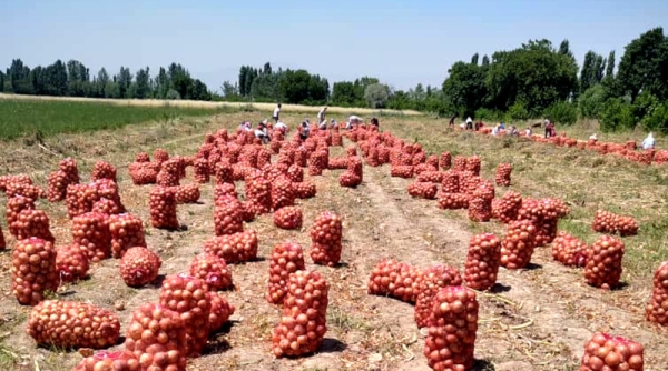 740a146f658efb65f5ff8ac95e278cfa