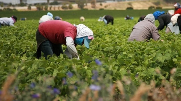 7d4c02ccc32c62d7fe9475d031706de2