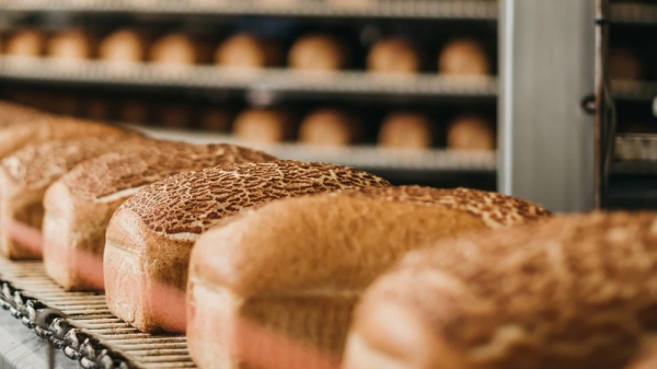 bfdc97ccb37297ef37af932c9300a29c