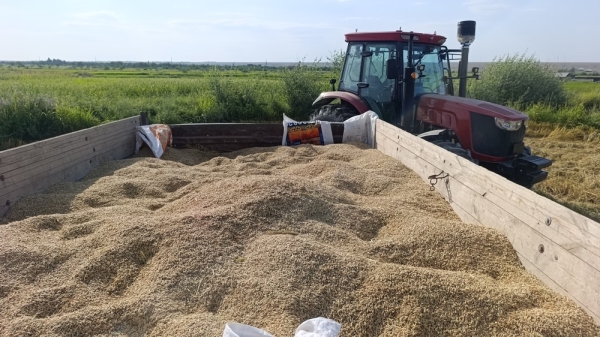 c8762fb4f9950393bc5a34f44bb8c903