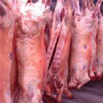 Прозрачность и рост: электронная база халал-продукции в Кыргызстане