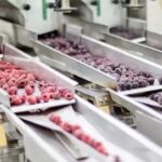 Агропром Кыргызстана на пороге трансформации: миллиардные инвестиции в переработку