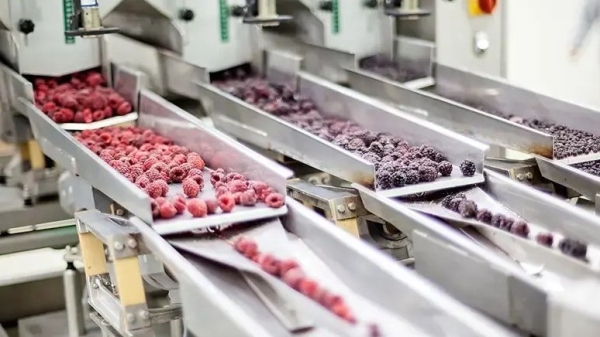 2a586b6f2f2d13ff5a873d1cf551bb05