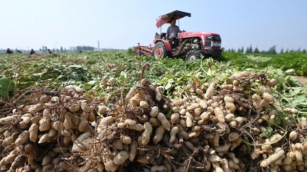 2d0d019d9765c7b3cc18bcee4630d96b