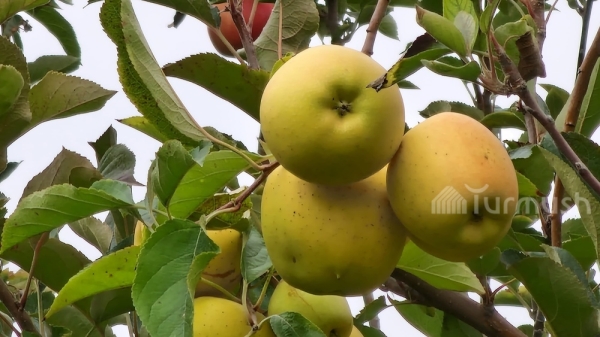 3cebce1ebe3e5324262da4493b689caa