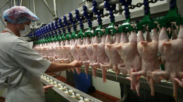 927e587e8978d6d3524672519811f99b