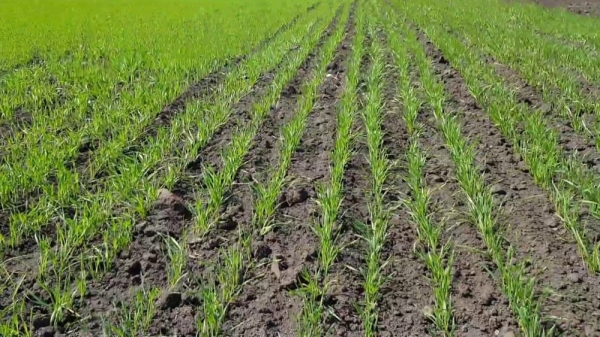 b0d9d3b778316f907586c40c0095dd70