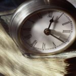 Минфин Кыргызстана: 9,5 млрд сомов беспроцентных займов для МСБ