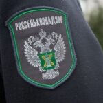 Кыргызстан в числе импортёров: Орловская область РФ экспортировала 11 тысяч тонн жома