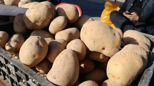 f90abf27c9f55be0501004830752da95