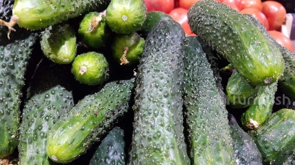 2168a7d0f5862c00fbb93dd8b4eb5f70