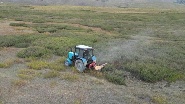 2cd38178ae9df4498a21d37496890e46