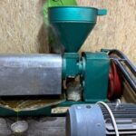 Сокулукский завод начал выпускать сафлоровое масло: экономический прорыв