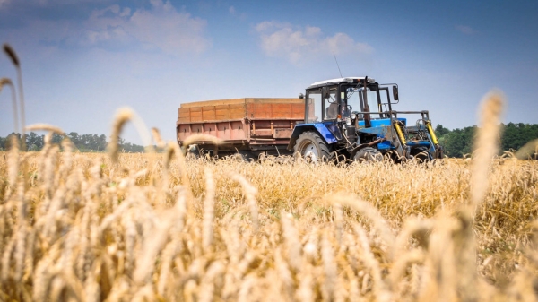 37744fedb8b40e10943cd7dd7a545490