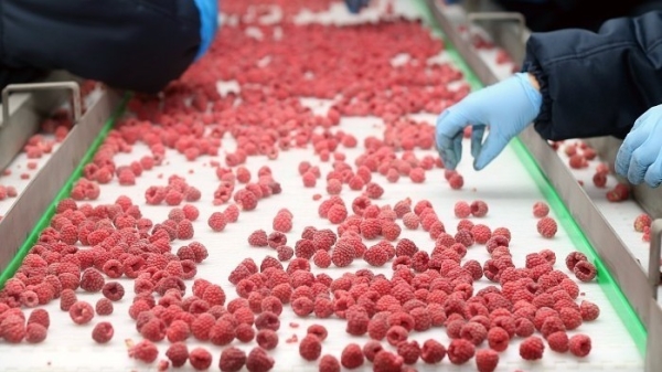 4bae306db7811ab1daba6f7e5edc7799