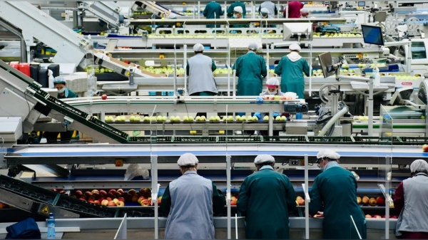 63dccb1b3994ee59ec8f748797922ef2