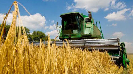 6d59184fe686cf96241b9a57fbbd534d